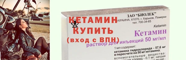 прущие грибы Новозыбков