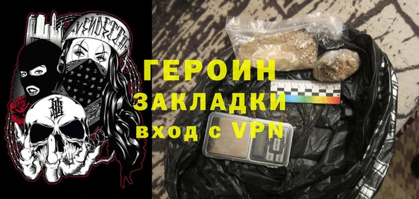 прущие грибы Новозыбков