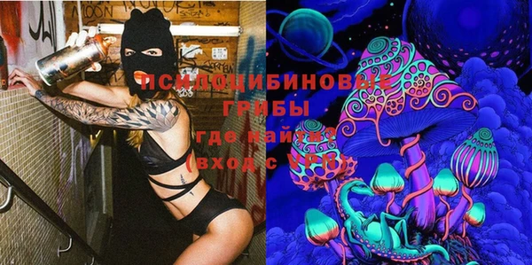 первитин Богородск